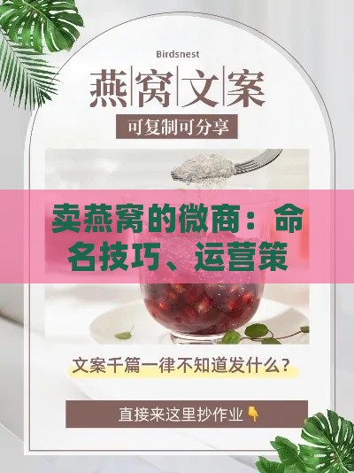 卖燕窝的微商：命名技巧、运营策略及朋友圈宣传指南