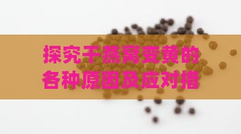 探究干燕窝变黄的各种原因及应对措施