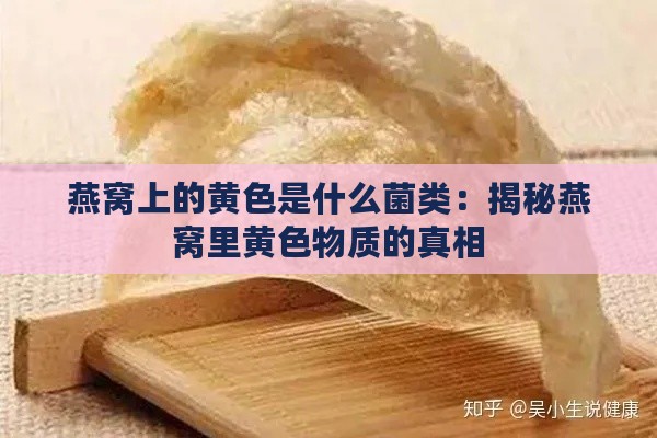 燕窝上的黄色是什么菌类：揭秘燕窝里黄色物质的真相