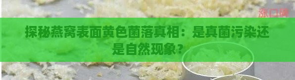 探秘燕窝表面黄色菌落真相：是真菌污染还是自然现象？