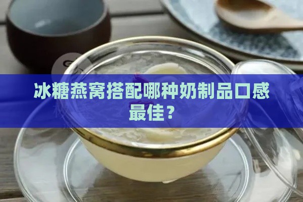 冰糖燕窝搭配哪种奶制品口感更佳？