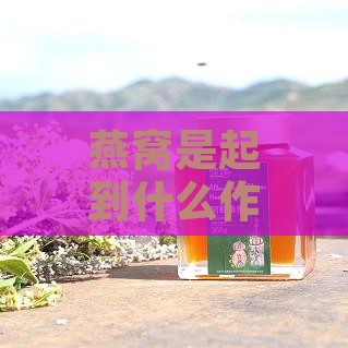 燕窝是起到什么作用的呢：燕窝具体有哪些功效与作用？