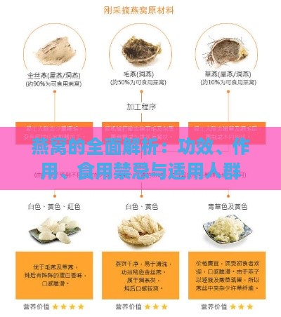 燕窝的全面解析：功效、作用、食用禁忌与适用人群指南