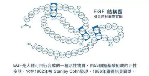 深入解析：燕窝中唾液酸的化学性质与多重健康益处