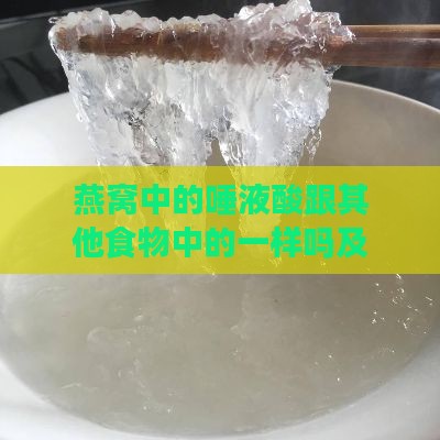 燕窝中的唾液酸跟其他食物中的一样吗及存在哪些食物与潜在危害分析