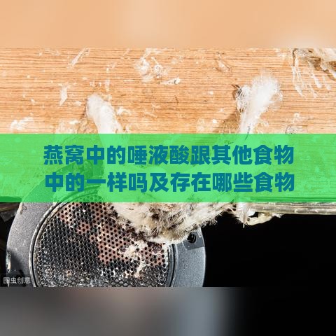 燕窝中的唾液酸跟其他食物中的一样吗及存在哪些食物与潜在危害分析