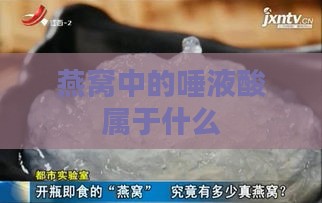 燕窝中的唾液酸属于什么