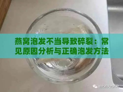 燕窝泡发不当导致碎裂：常见原因分析与正确泡发方法指南