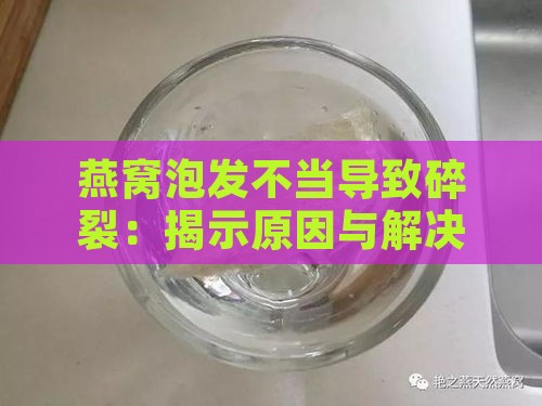 燕窝泡发不当导致碎裂：揭示原因与解决方法