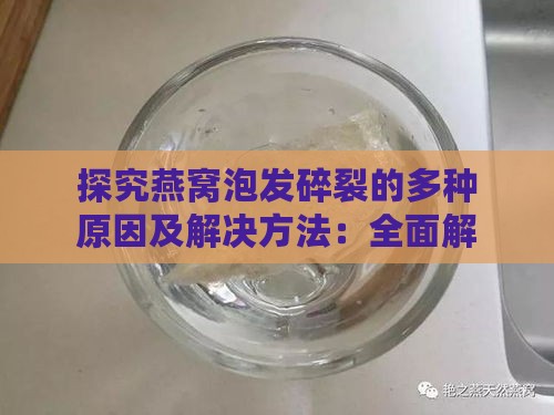 探究燕窝泡发碎裂的多种原因及解决方法：全面解析燕窝处理常见问题