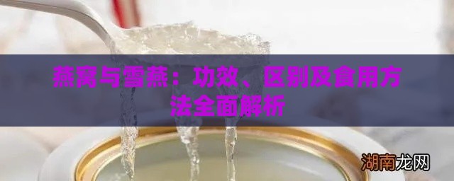 燕窝与雪燕：功效、区别及食用方法全面解析