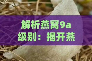 解析燕窝9a级别：揭开燕窝品质与分级背后的秘密