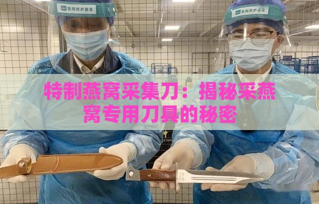 特制燕窝采集刀：揭秘采燕窝专用刀具的秘密