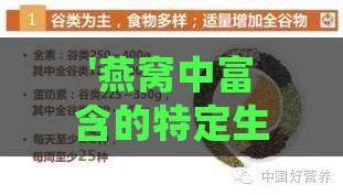 '燕窝中富含的特定生物活性蛋白质类别探究'