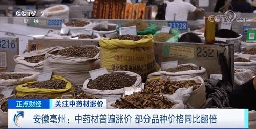 亳州中药材市场燕窝供应情况调查：探寻珍稀滋补佳品