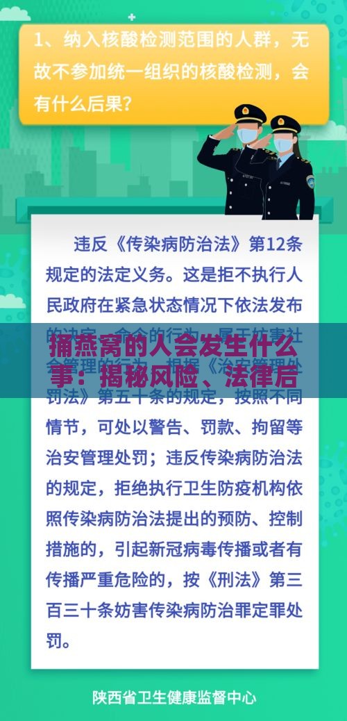 捅燕窝的人会发生什么事：揭秘风险、法律后果与生态影响