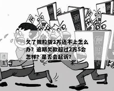 捅燕窝的人会发生什么事：揭秘风险、法律后果与生态影响