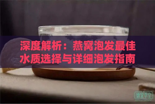 深度解析：燕窝泡发更佳水质选择与详细泡发指南