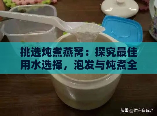 挑选炖煮燕窝：探究更佳用水选择，泡发与炖煮全攻略