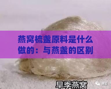 燕窝梳盏原料是什么做的：与燕盏的区别及特点解析