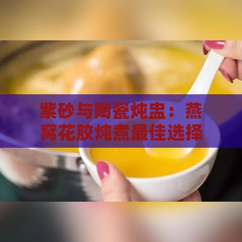 紫砂与陶瓷炖盅：燕窝花胶炖煮更佳选择对比指南