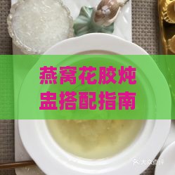 燕窝花胶炖盅搭配指南：揭秘多款美味炖盅做法与口感体验