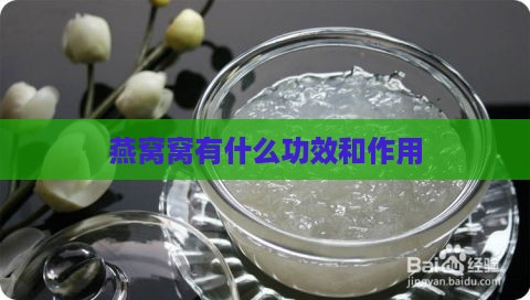 燕窝窝有什么功效和作用