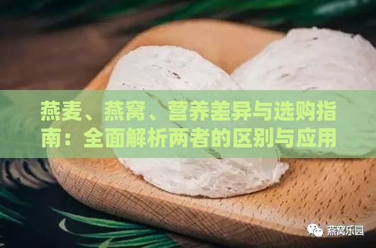 燕麦、燕窝、营养差异与选购指南：全面解析两者的区别与应用