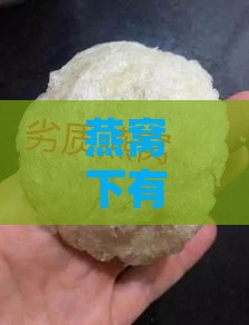 燕窝下有异味是什么原因呢？如何治疗及推荐用药