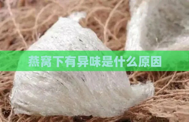 燕窝下有异味是什么原因