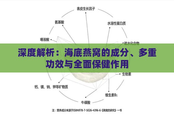 深度解析：海底燕窝的成分、多重功效与全面保健作用