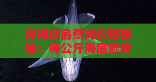 深海珍品燕窝价格探秘：每公斤海底燕窝市场行情解析