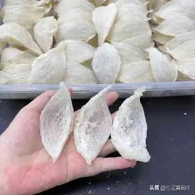 海底燕窝全面指南：制作方法、食用技巧与营养功效解析