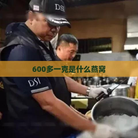 600多一克是什么燕窝