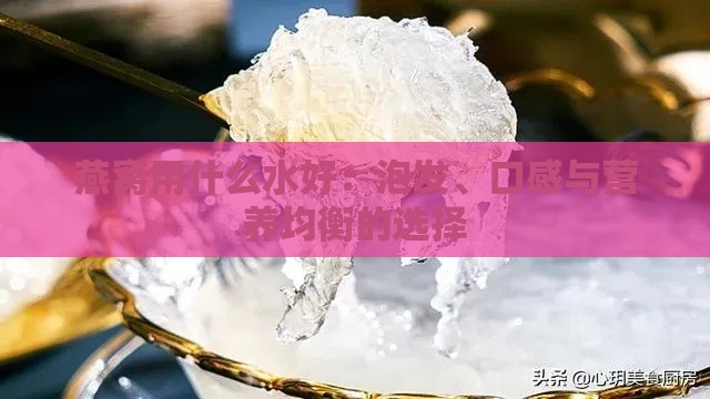 燕窝用什么水好：泡发、口感与营养均衡的选择