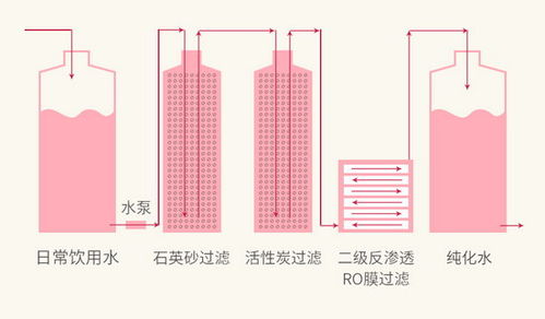 探究燕窝成分标准：定义高品质燕窝的新准则