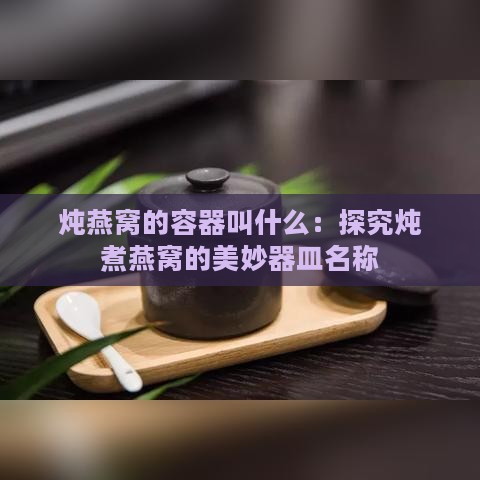 炖燕窝的容器叫什么：探究炖煮燕窝的美妙器皿名称