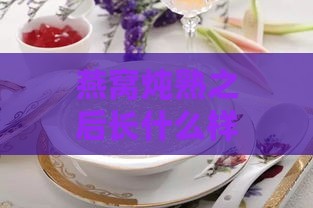 燕窝炖熟之后长什么样子：炖煮后的形态与口感解析