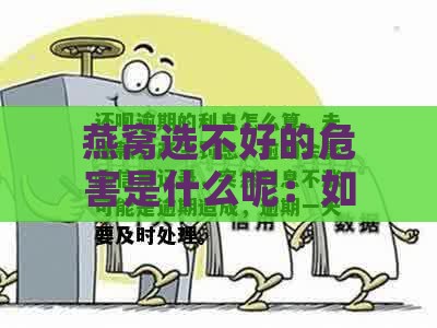 燕窝选不好的危害是什么呢：如何避免选购风险与潜在健康影响