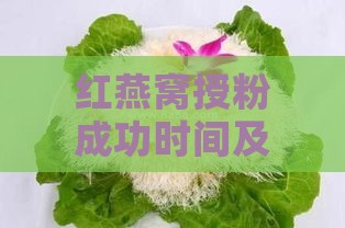 红燕窝授粉成功时间及影响因素解析：全面解答授粉周期、更佳时机与关键技巧