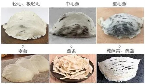 揭秘燕窝：探究其独特原料与制作材料