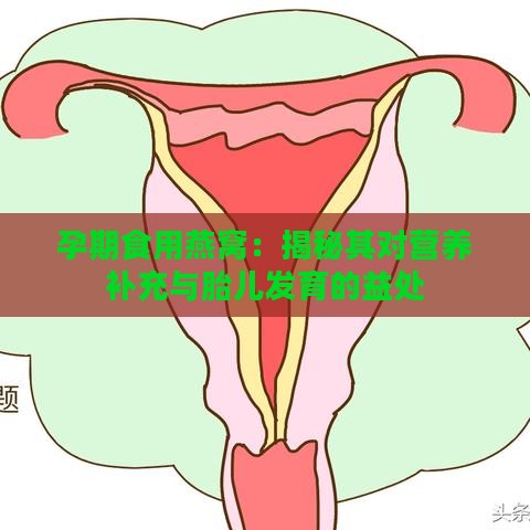 孕期食用燕窝：揭秘其对营养补充与胎儿发育的益处