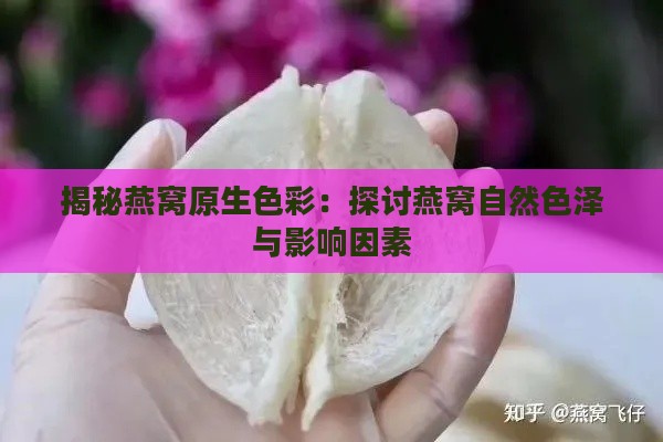 揭秘燕窝原生色彩：探讨燕窝自然色泽与影响因素