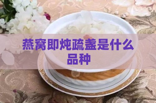 燕窝即炖疏盏是什么品种