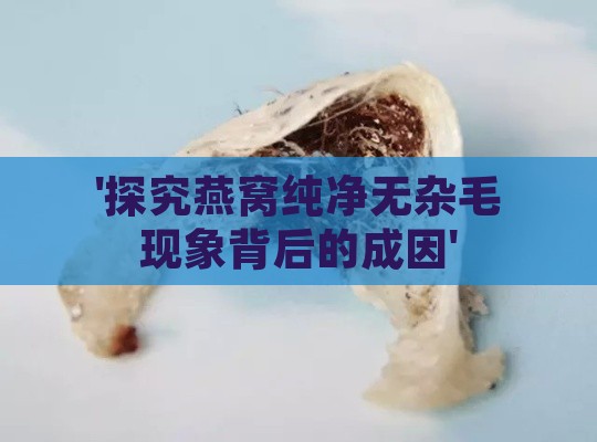 '探究燕窝纯净无杂毛现象背后的成因'