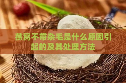 燕窝不带杂毛是什么原因引起的及其处理方法