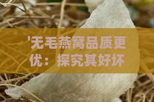 '无毛燕窝品质更优：探究其好坏与营养价值'