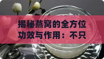 揭秘燕窝的全方位功效与作用：不只是特殊的营养价值