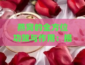 燕窝的全方位功效与作用：揭秘其营养价值和保健益处