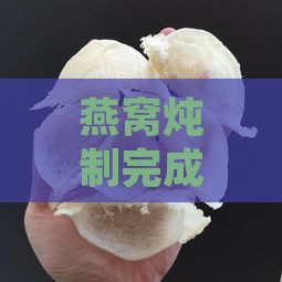 燕窝炖制完成后如何正确存放：冰箱冷藏时间与保存技巧全解析